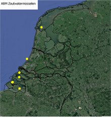 Ligging meetlocaties ABM zout water