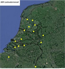 Ligging meetlocaties ABM zoet water mossel