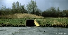 Lozing RWZI - Noordzeekanaal