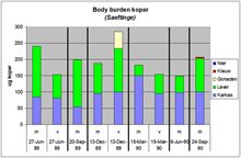 Grafiek bodyburden koper in bot