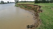 NVO Maas - Natuurlijke oever Oeffelt. De oeverbestorting is hier over een lengte van 1.3km verwijderd- uit het rapport Buijse e.a. (2019)