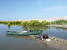 Jelger Elings op zoek naar kleine vislarven tussen de vele aasgarnalen en watervlooien - foto Joep de Leeuw