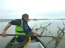 Met een larvennet en RAVON-net worden vislarven bemonsterd in geschikte paaigebieden op de Marker Wadden. Hier bemonsterd Joep de Leeuw essen vanuit een kano -foto Jelger Elings