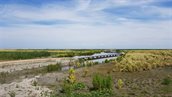Marker Wadden, juni 2019. Foto Herman Bouwman