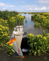 Foto liesbeth bijgesneden