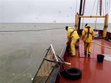 Bemonstering van kleine vis met de broedkor - Joep de Leeuw
