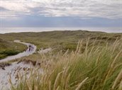 duinen