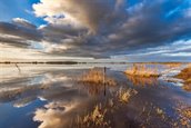 de-alde-feanen_tcm26-309852