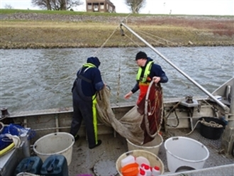 Het legen van een larvennet op ene kleine boot, 2021